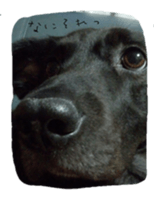 Momican sticker sticker #13727227