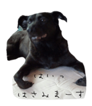 Momican sticker sticker #13727229