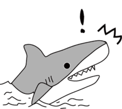 Shark2-for daily use- sticker #13727921