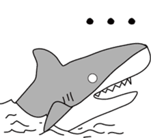 Shark2-for daily use- sticker #13727922