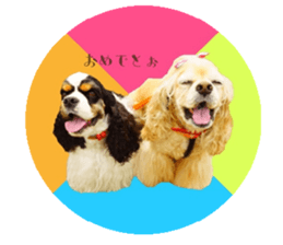 kyawa kyawa cocker sticker #13727967