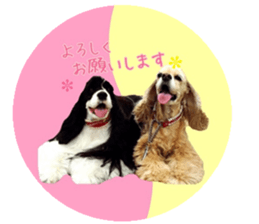 kyawa kyawa cocker sticker #13727971