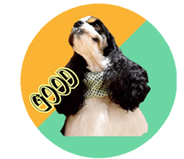 kyawa kyawa cocker sticker #13727972