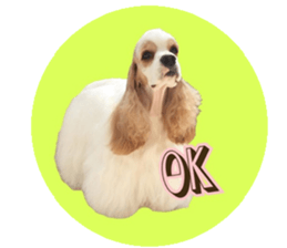 kyawa kyawa cocker sticker #13727973