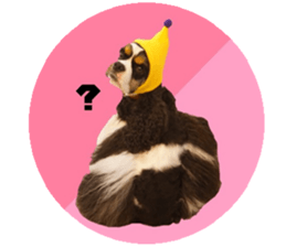 kyawa kyawa cocker sticker #13727979