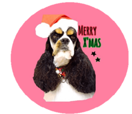 kyawa kyawa cocker sticker #13727981