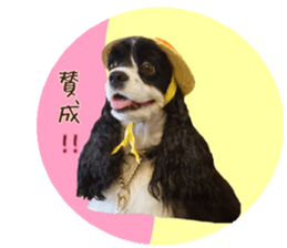 kyawa kyawa cocker sticker #13727984