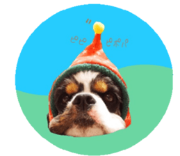 kyawa kyawa cocker sticker #13727985