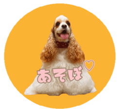 kyawa kyawa cocker sticker #13727986