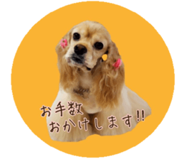 kyawa kyawa cocker sticker #13727989