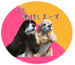 kyawa kyawa cocker sticker #13727993