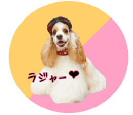 kyawa kyawa cocker sticker #13727996