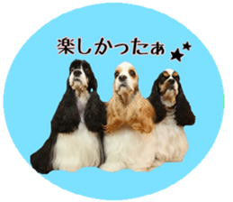 kyawa kyawa cocker sticker #13727997