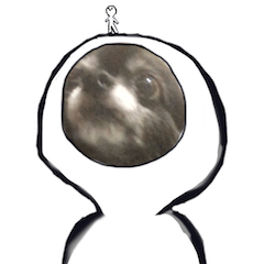 ROKU is a smart dog. 2