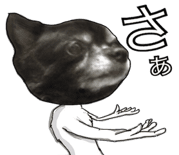 ROKU is a smart dog. 2 sticker #13728051