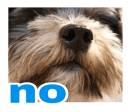 Happy smile puppy Jackie sticker #13728063