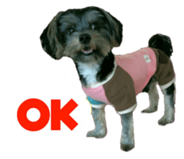 Happy smile puppy Jackie sticker #13728067