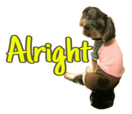 Happy smile puppy Jackie sticker #13728069