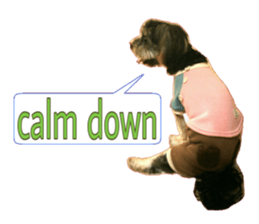 Happy smile puppy Jackie sticker #13728073