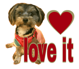 Happy smile puppy Jackie sticker #13728075