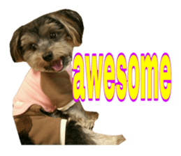 Happy smile puppy Jackie sticker #13728076