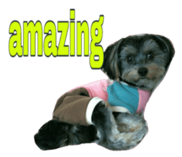 Happy smile puppy Jackie sticker #13728078