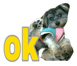 Happy smile puppy Jackie sticker #13728080