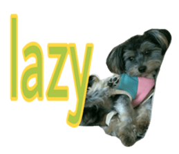 Happy smile puppy Jackie sticker #13728081