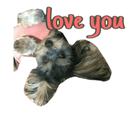 Happy smile puppy Jackie sticker #13728082