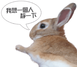 Rabbit King potato sticker #13728254