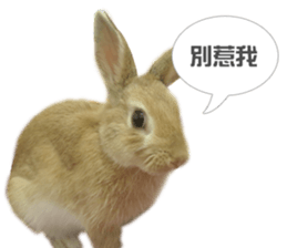 Rabbit King potato sticker #13728255