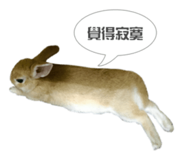 Rabbit King potato sticker #13728256