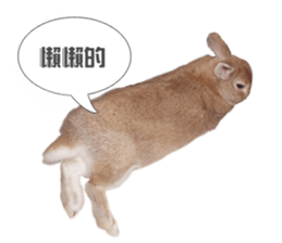 Rabbit King potato sticker #13728258