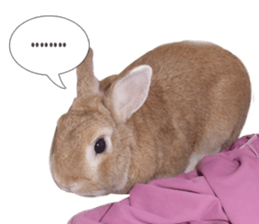 Rabbit King potato sticker #13728259