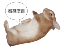 Rabbit King potato sticker #13728261