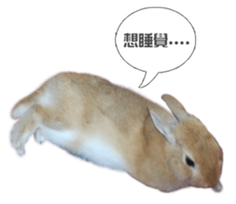 Rabbit King potato sticker #13728262