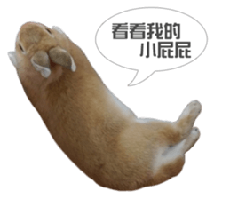 Rabbit King potato sticker #13728264