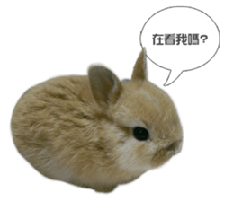 Rabbit King potato sticker #13728265