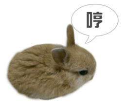 Rabbit King potato sticker #13728267