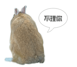 Rabbit King potato sticker #13728268