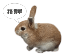 Rabbit King potato sticker #13728269