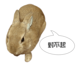 Rabbit King potato sticker #13728270