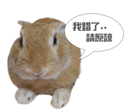 Rabbit King potato sticker #13728271