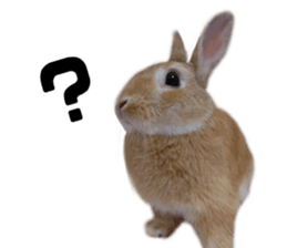 Rabbit King potato sticker #13728272