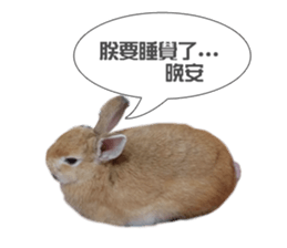 Rabbit King potato sticker #13728273