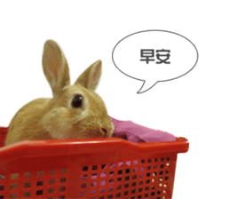 Rabbit King potato sticker #13728275