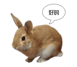 Rabbit King potato sticker #13728276