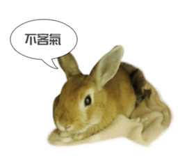 Rabbit King potato sticker #13728277