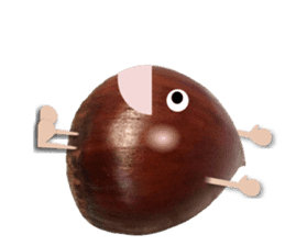 Marron of sweet chestnut sticker #13728652