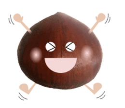 Marron of sweet chestnut sticker #13728653